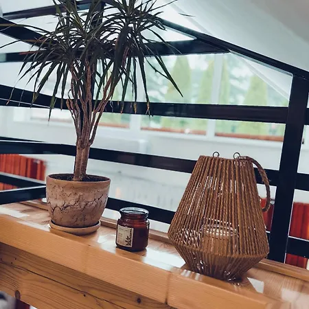 Летний дом Forrest House Jacuzzi & Sauna