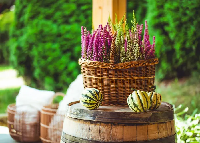 Forrest House Jacuzzi & Sauna * Jasienica (Lesser Poland)