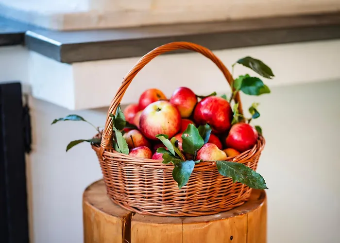 Forrest House Jacuzzi & Sauna カントリーハウス